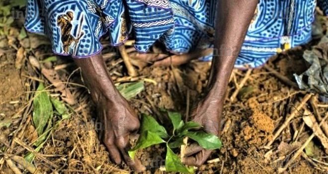 La préservation des écosystèmes au cœur du Jour de la Terre 2021