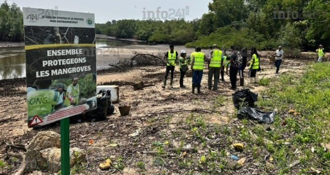 Libreville&nbsp;: 16 sacs de déchets retirés d’une mangrove en 4 heures sur la voie de contournement