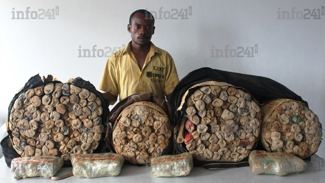 Chanvre indien&nbsp;: une cargaison de 320 ballots interceptée à Kougouleu