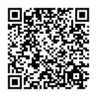 qrcode:https://www.info241.co/deraillement-d-un-train-mineralier-setrag-sur-le-pied-de-guerre,8921