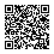 qrcode:https://www.info241.co/franck-ping-une-bande-organisee-a-profite-des-errances-du,4798