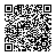 qrcode:https://www.info241.co/les-meilleures-voitures-electriques-economiques-l-innovation,10341