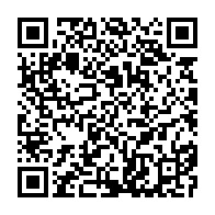 qrcode:https://www.info241.co/mouila-un-gorille-qui-y-semait-la-panique-finit-sa-course-dans,8551