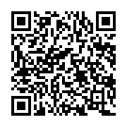qrcode:https://www.info241.co/les-longs-crayons-de-la-diaspora-et-bongoharam-ali,762