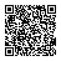qrcode:https://www.info241.co/legislatives-et-locales-2025-l-acer-de-l-ogooue-maritime,10875