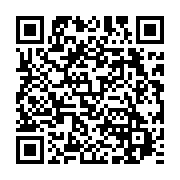 qrcode:https://www.info241.co/bresil-un-grand-chef-indigene-et-defenseur-de-la-foret,387
